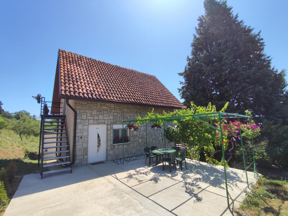 Milicin Konak Vrdnik Esterno foto